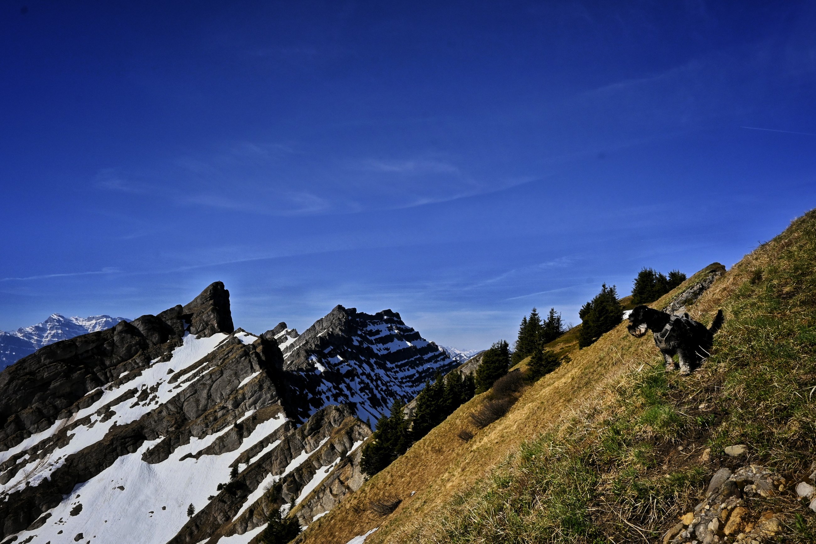 _DSC8916-01.jpeg