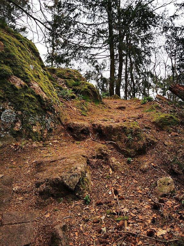 _MTB002.jpg