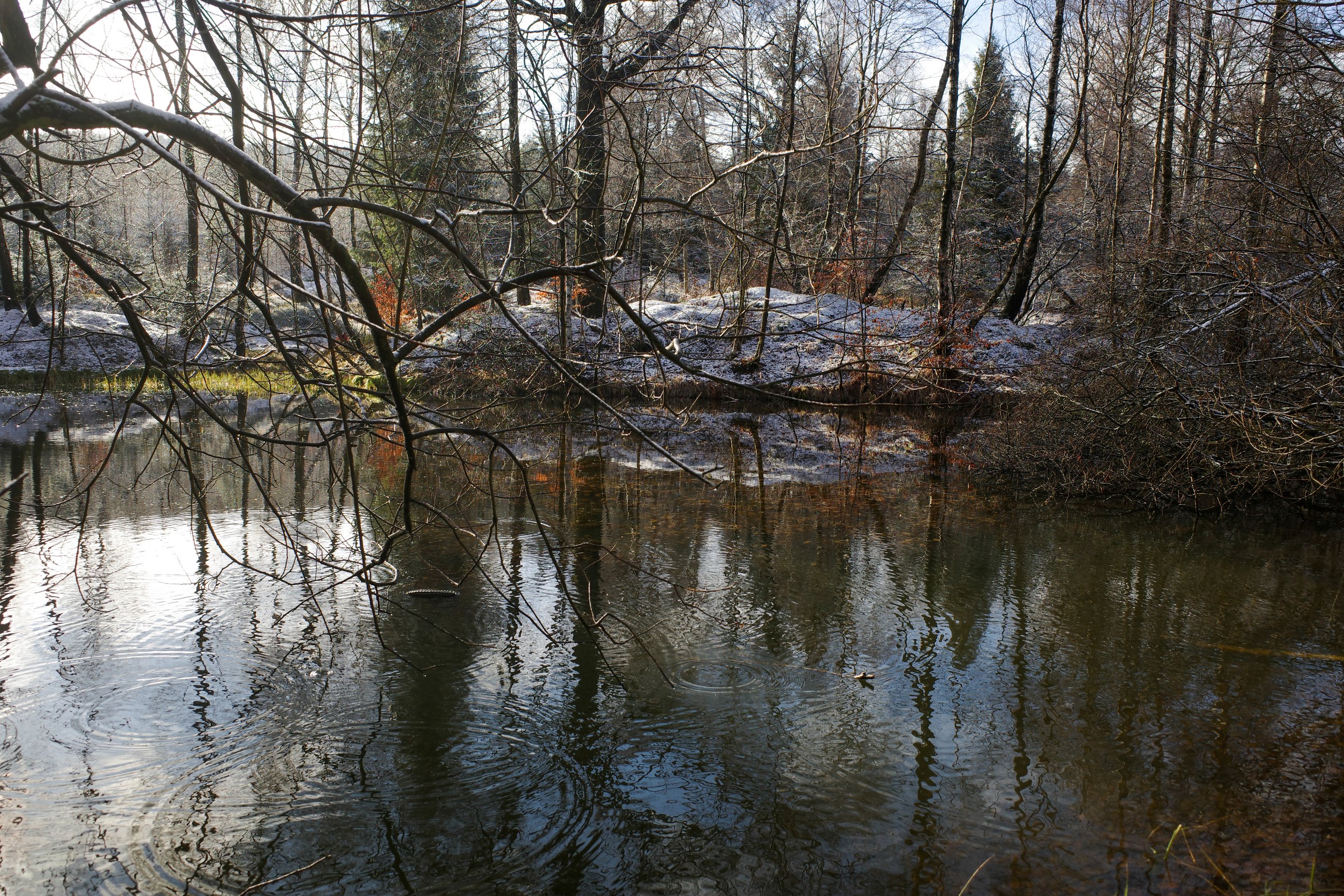 _R000623.jpg