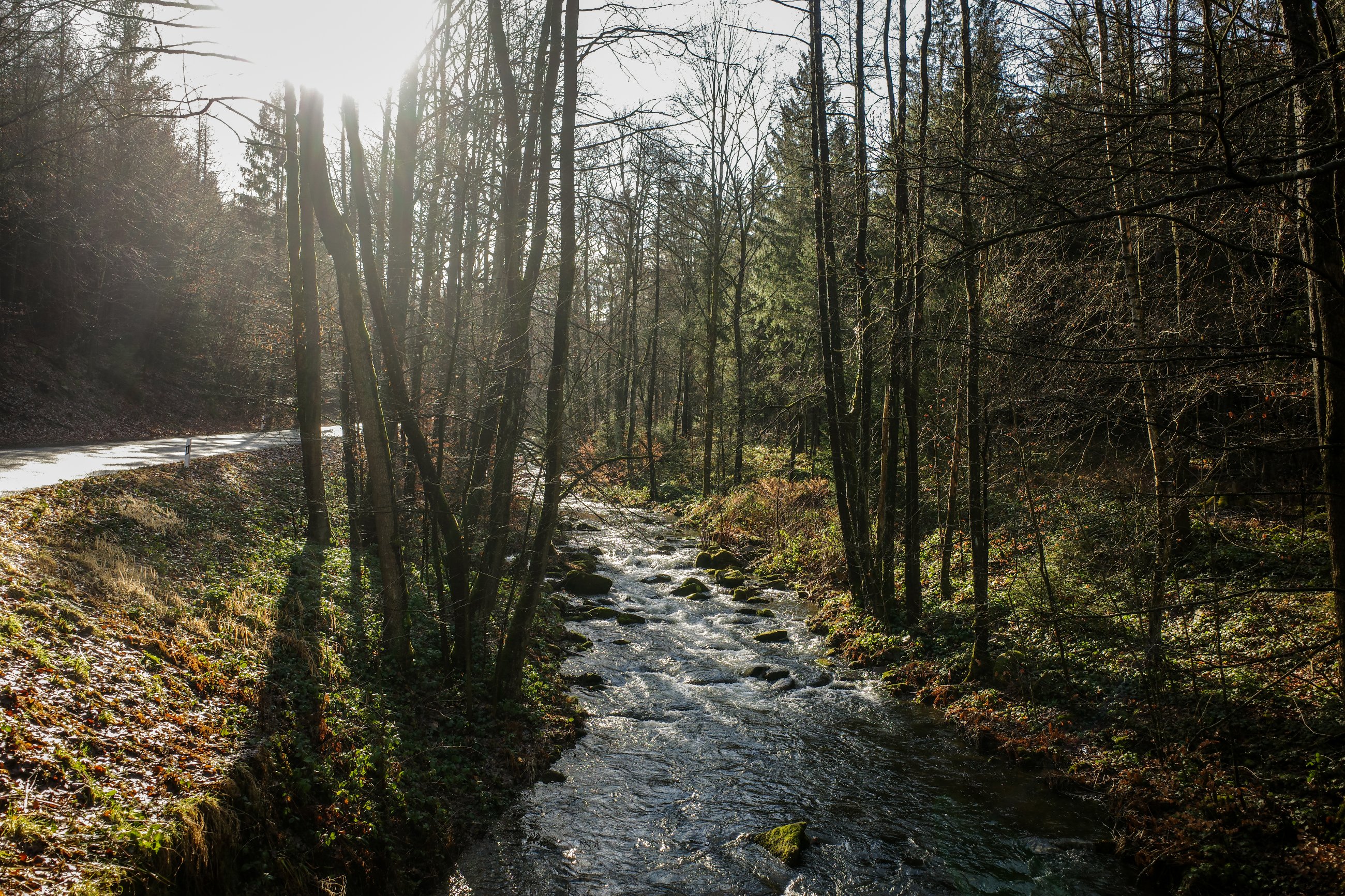 _R000627.jpg