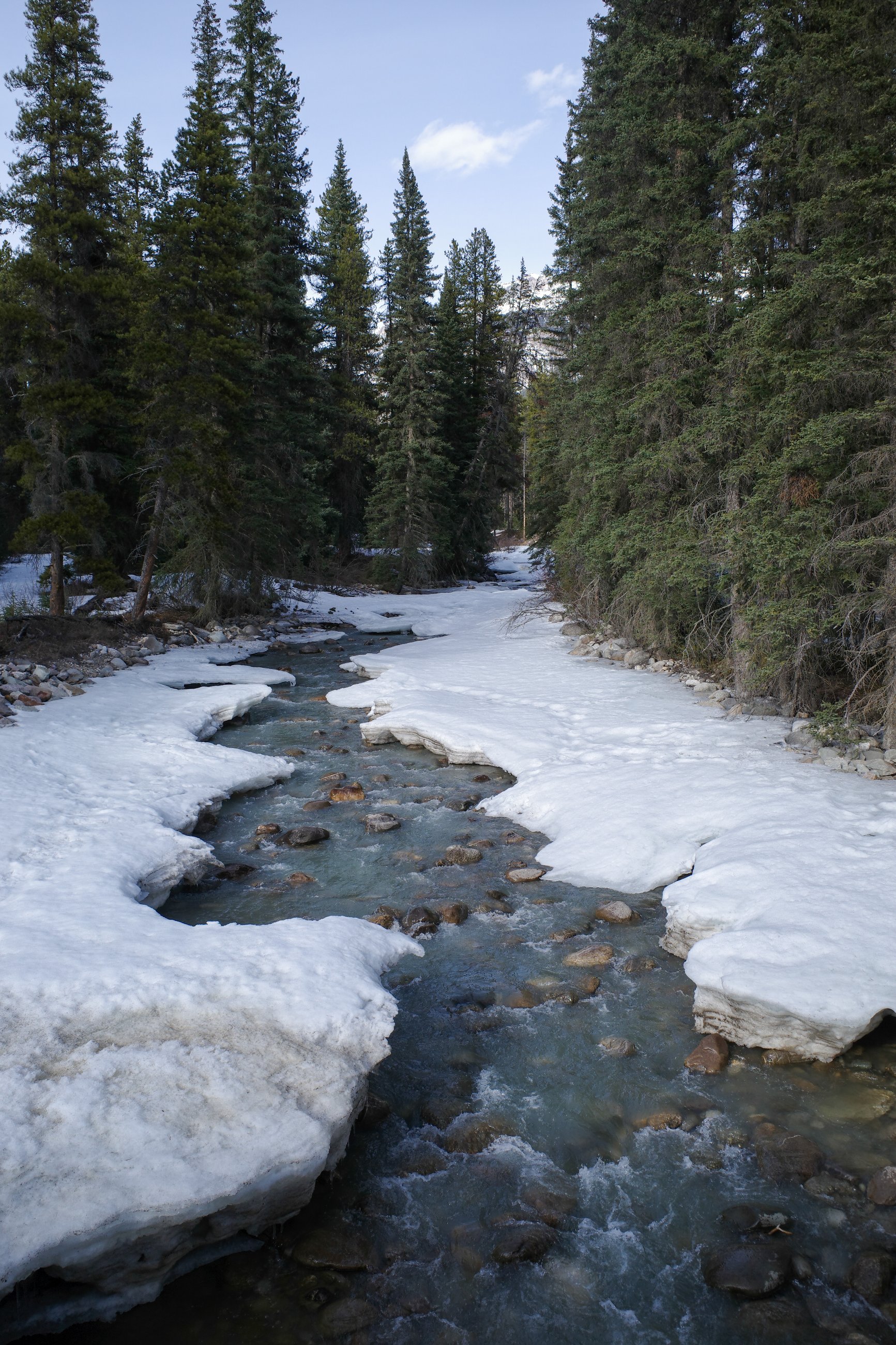 _R000693.jpg