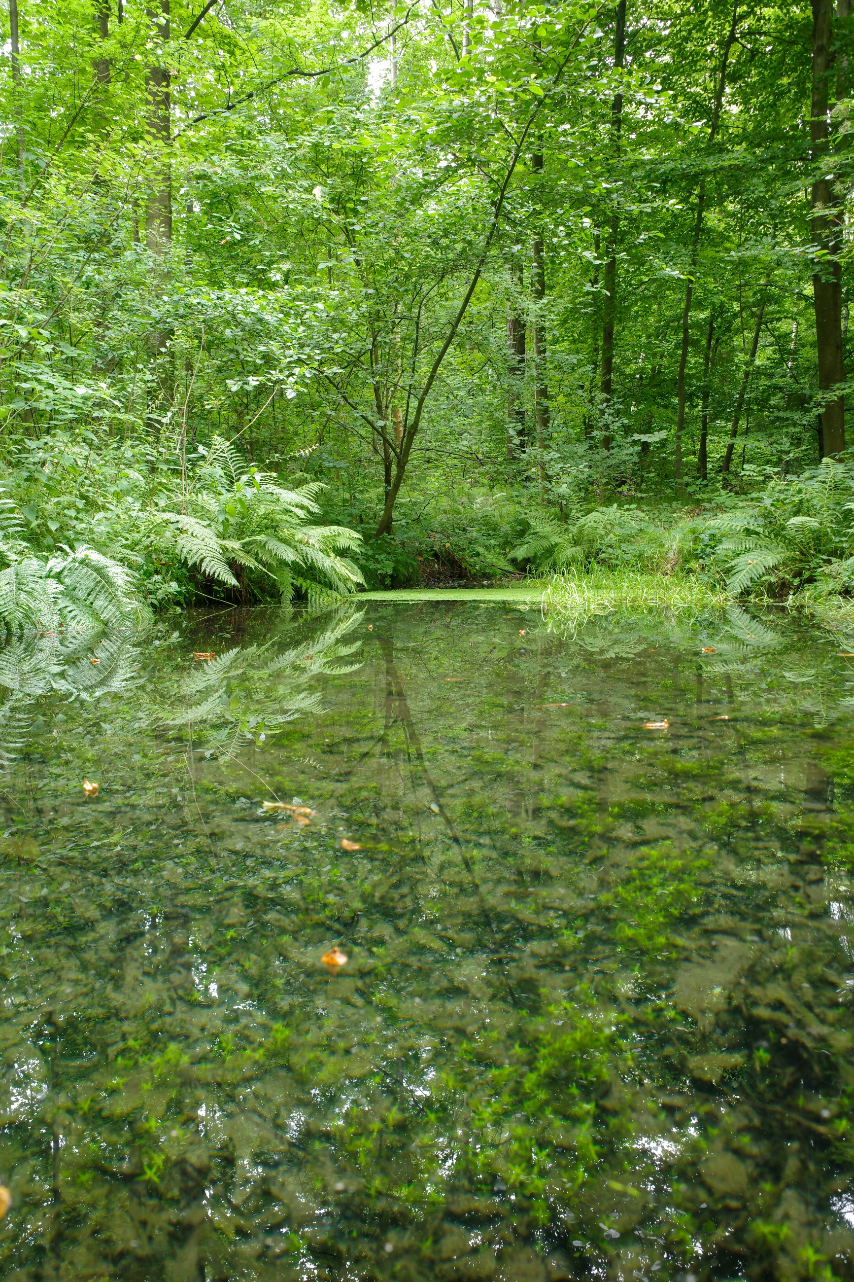 _R001009.jpg