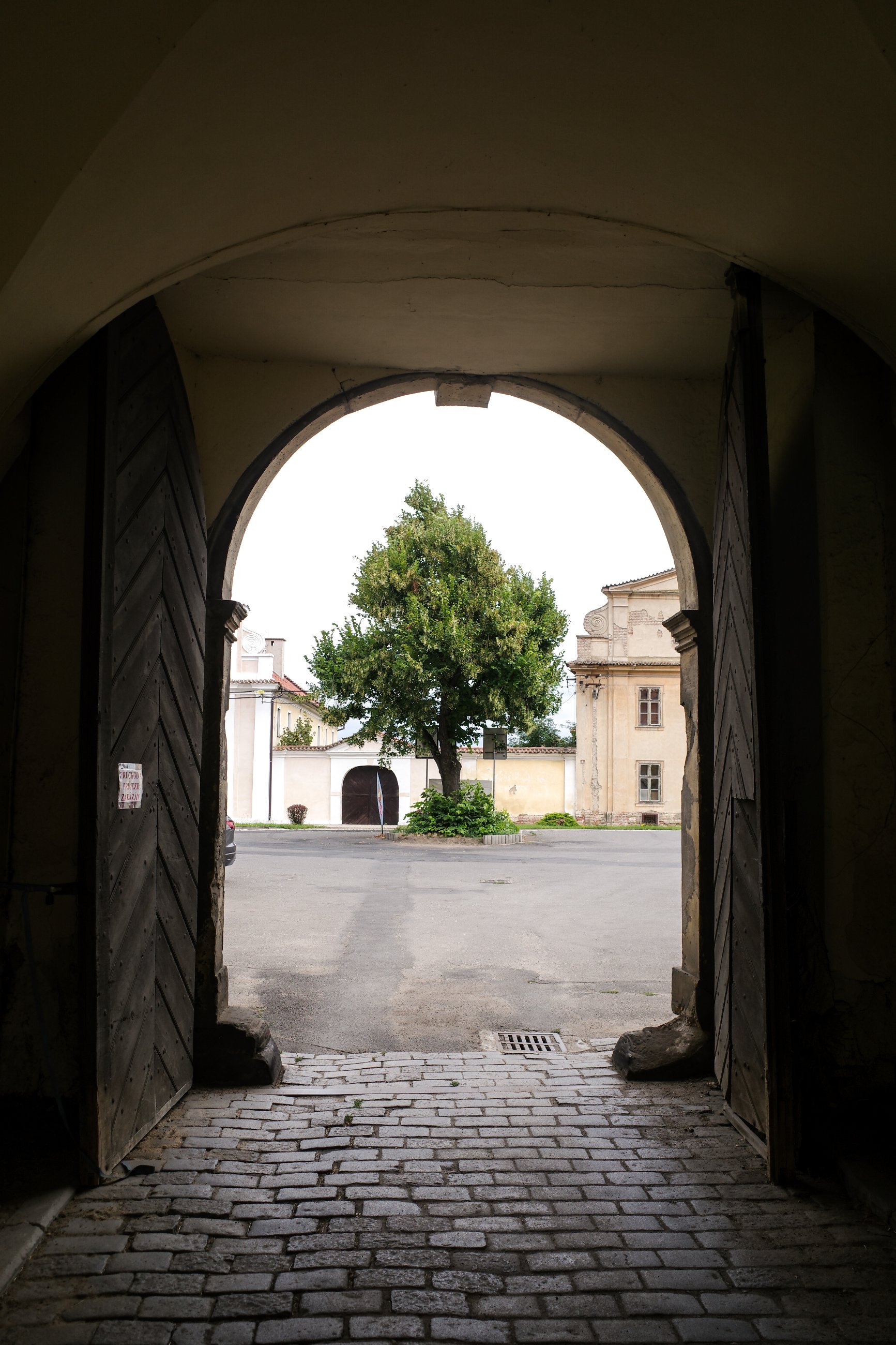 _R001044.jpg