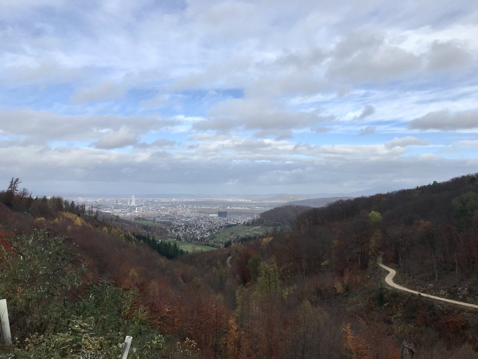 A385F2F6-0440-451A-B074-7573EC1F79CF.jpeg