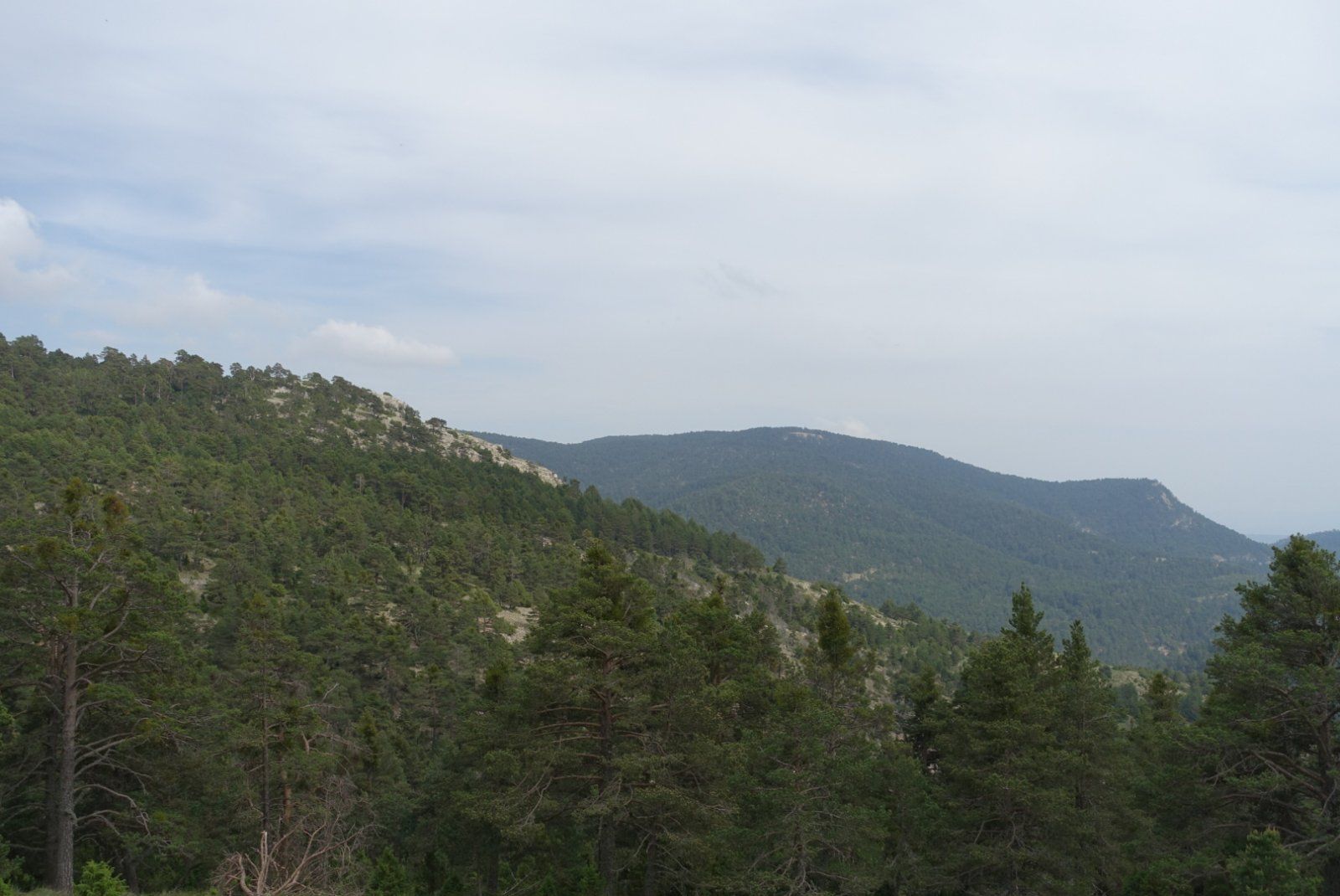 AA65A16A-D225-42D1-A4C7-BF5AD40AC3F0.jpeg