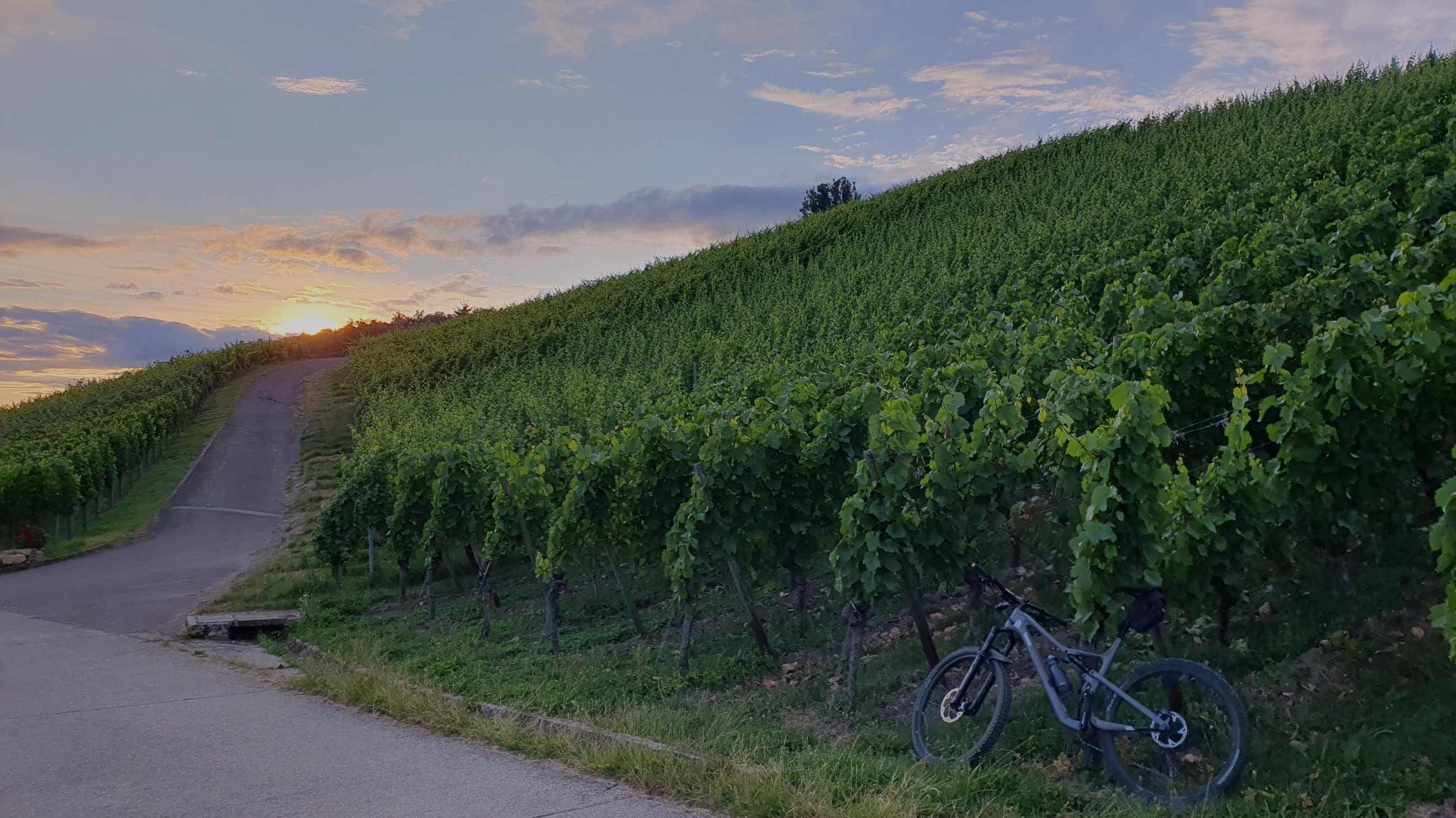 Abendst9.jpg