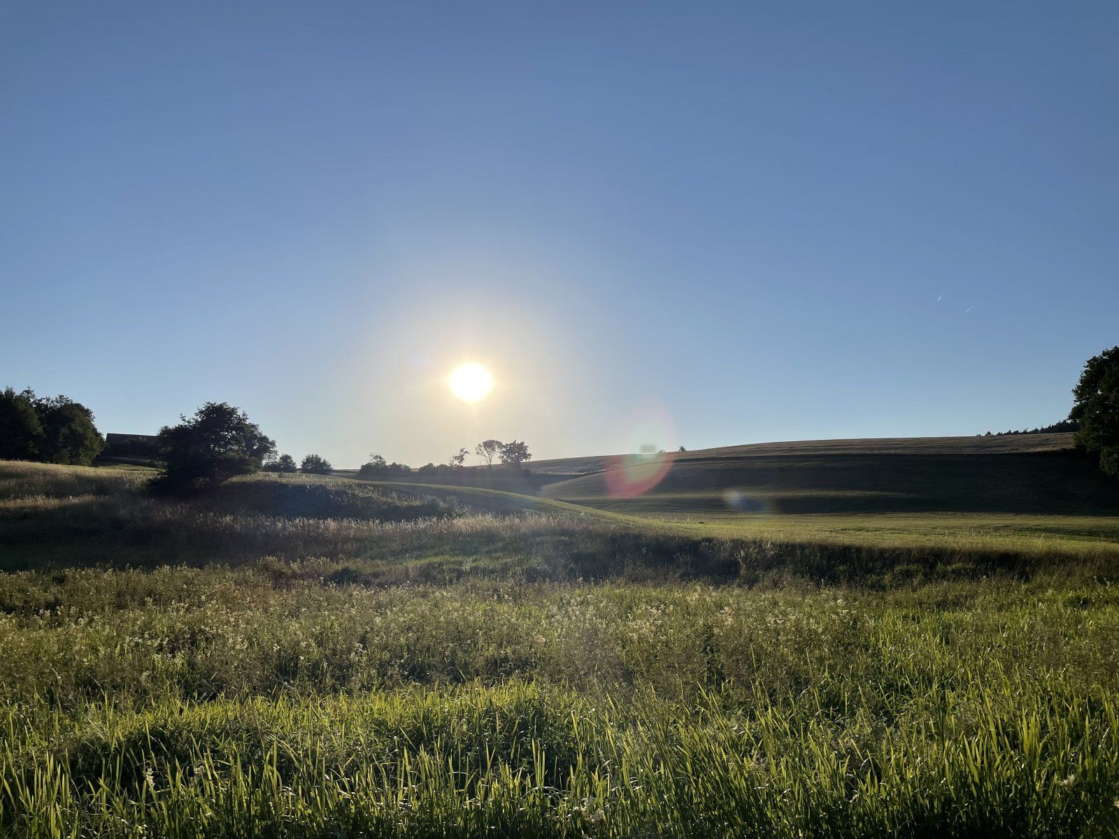AE6EAE5E-52C6-4360-9147-7A7A4C8F928C.jpeg