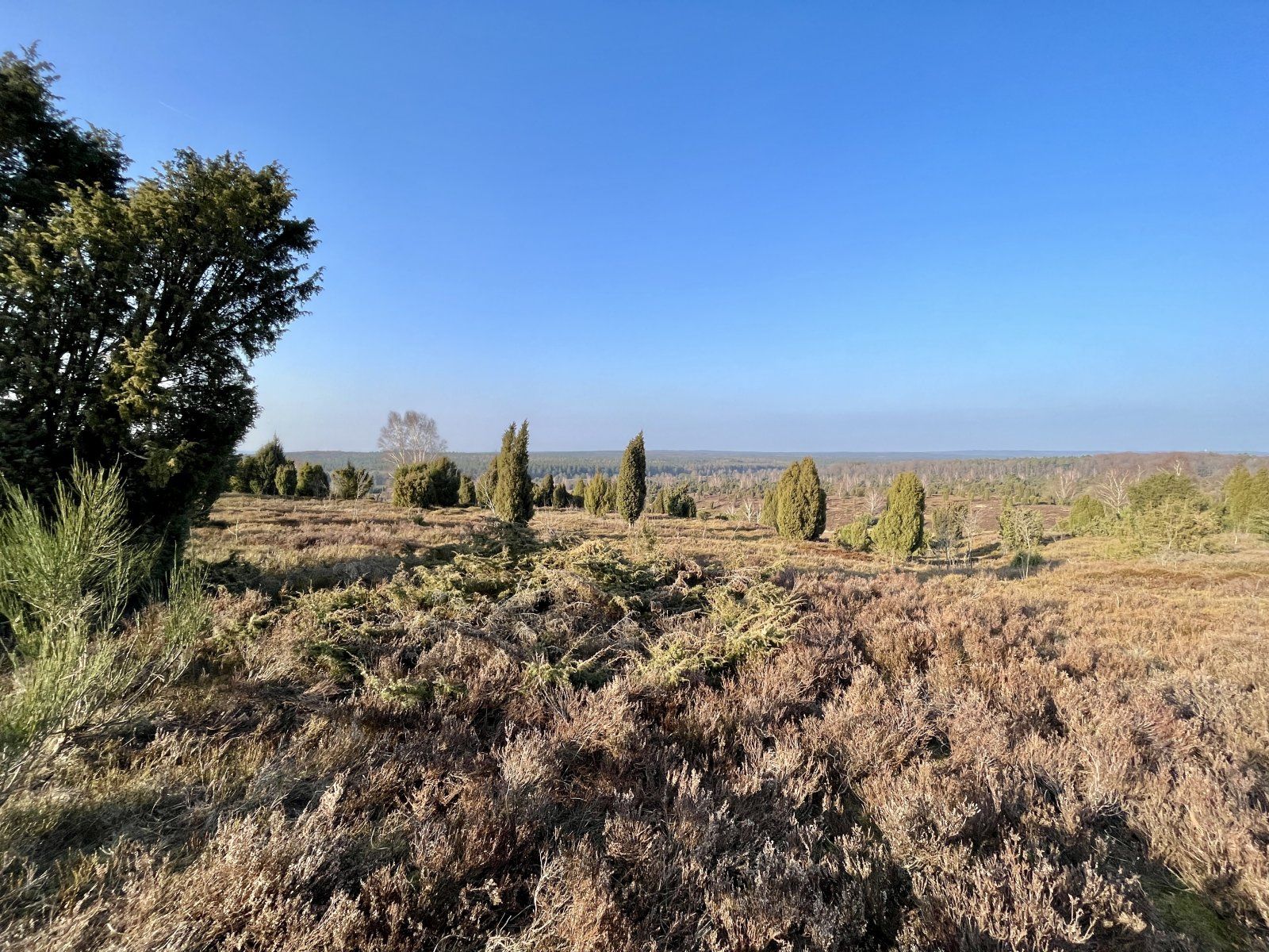 AF46E0F9-C41F-4353-AB8B-6462ED5B83C1.jpeg