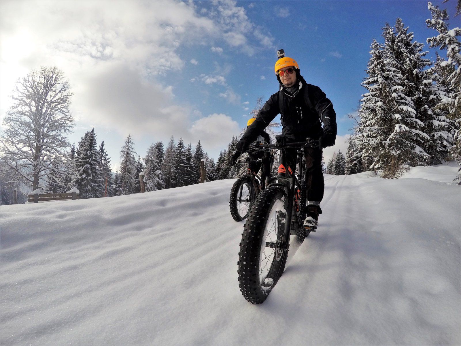 AlpineFatbikes_03.jpeg