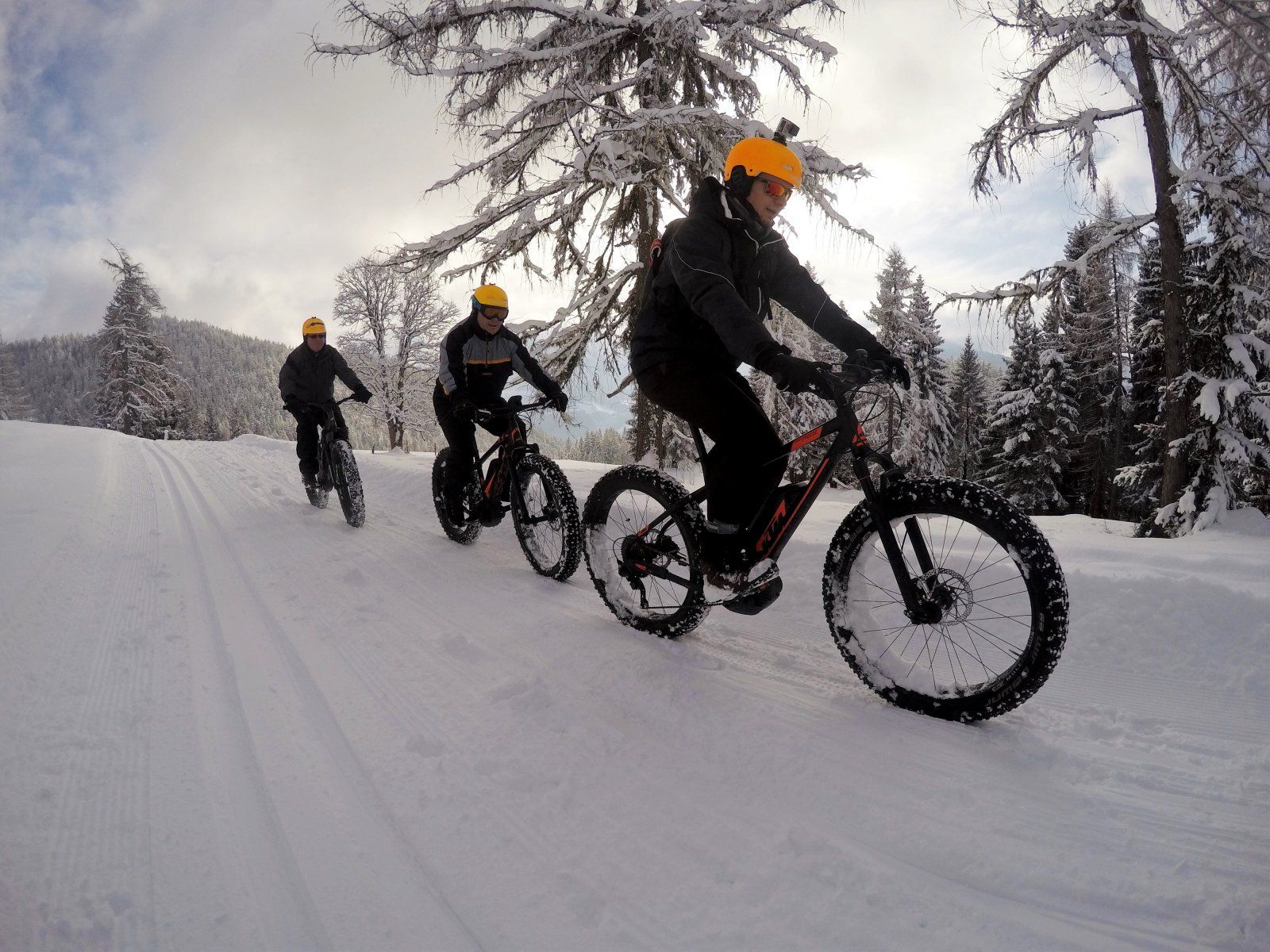 AlpineFatbikes_04.jpeg