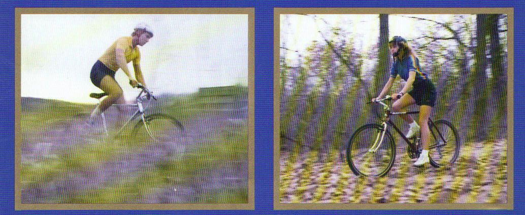 American 1985 crop l.jpg