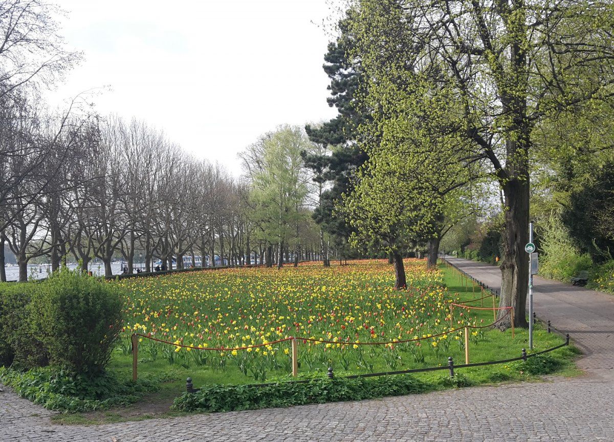 anscheinenddochfrühling-2017.jpg