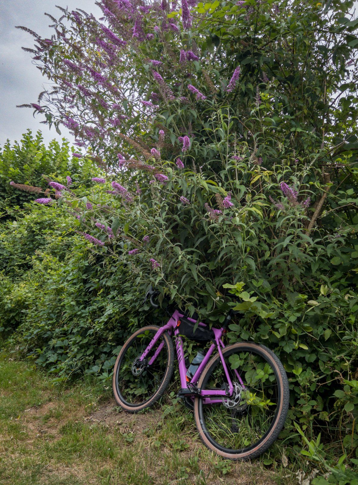 APC_1369-hdr.jpg