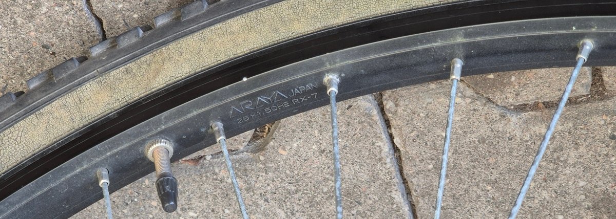 ArayaRX7.jpg