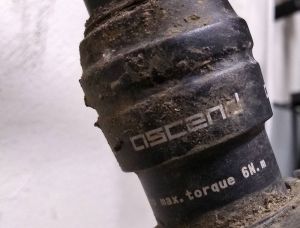 ascend II brand x.jpg