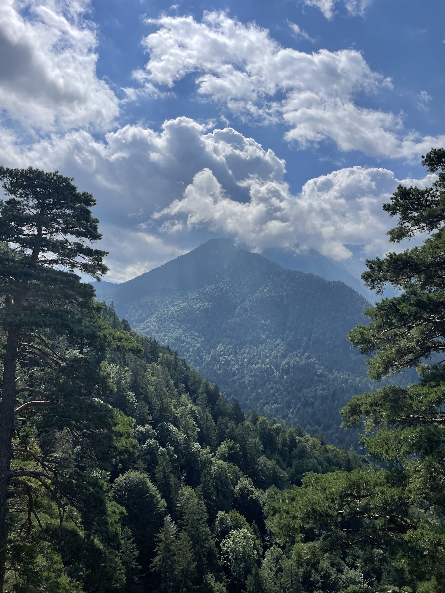 aussicht.JPG