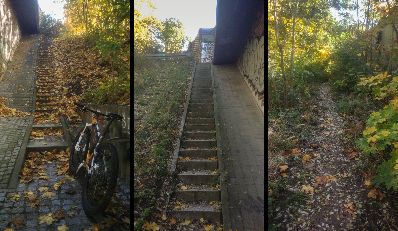 Autobahnbrücke-Trail.jpg