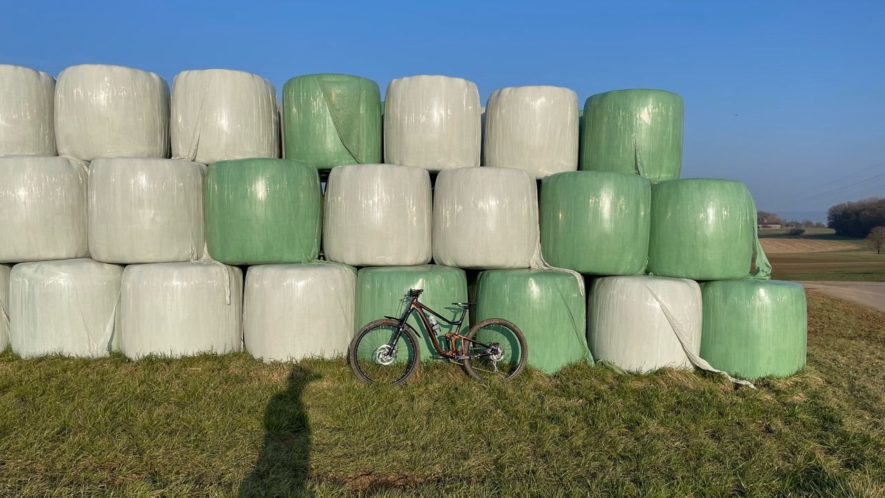 B370E587-FB53-4E61-A274-F001EA9076E3.jpeg