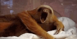 B4BCF6A0-A145-4C41-97DD-CD5BFC18BED5.gif