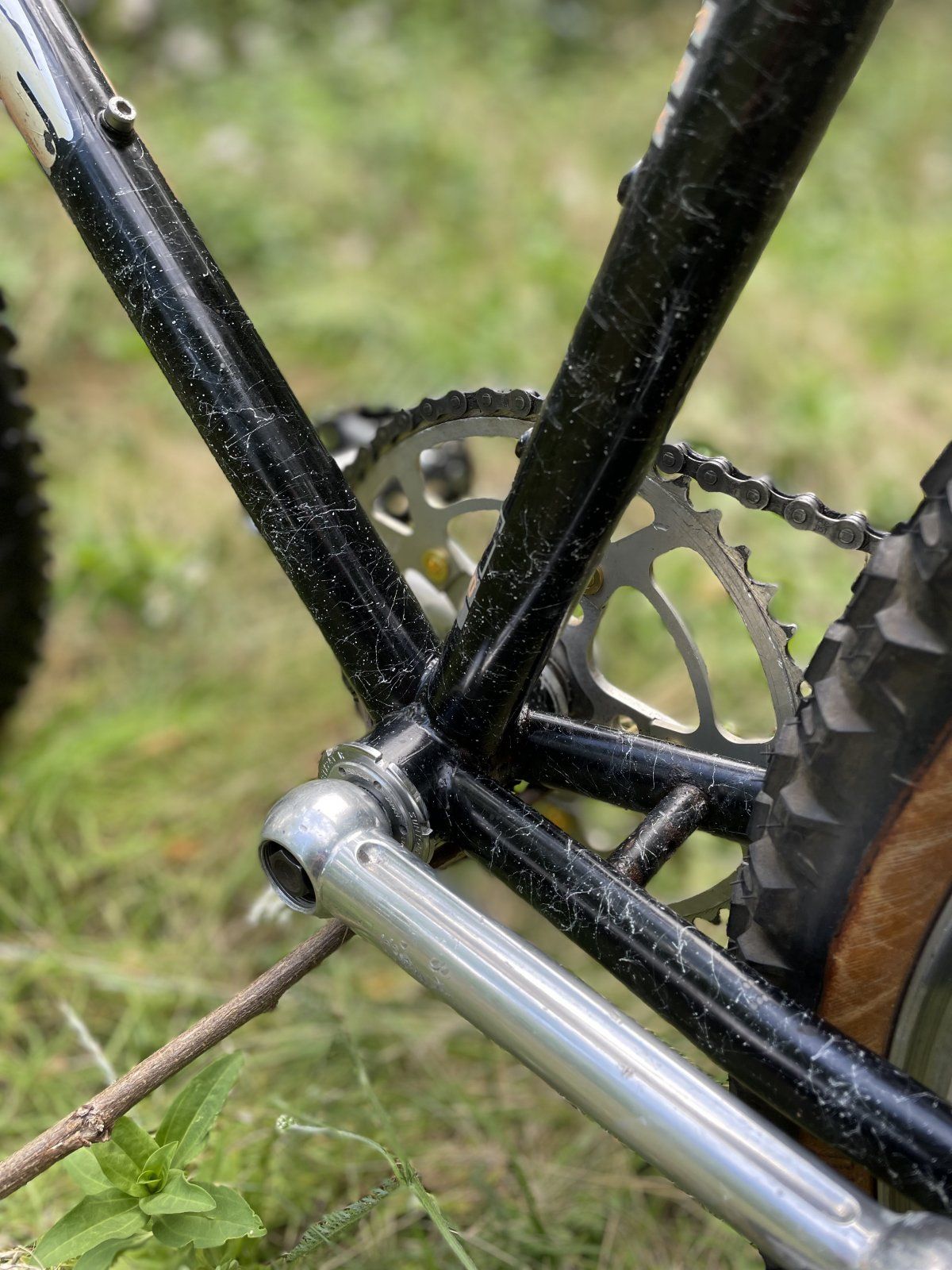 B788B373-004F-4A4F-ACE6-CA506FD5E34D.jpeg B788B373-004F-4A4F-ACE6-CA506FD5E34D.jpeg