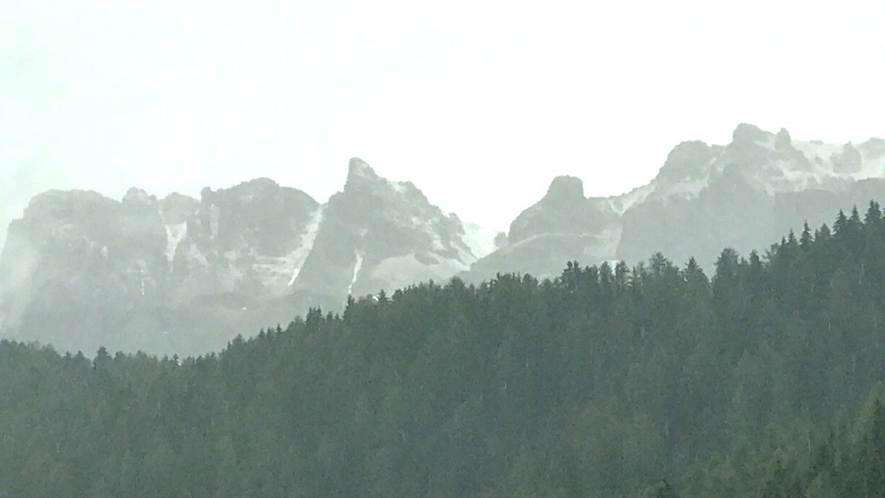 B9531724-6BC7-47F0-847C-A94A33130F64.jpeg