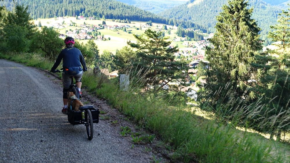 Baiersbronn_Tag3_03.JPG