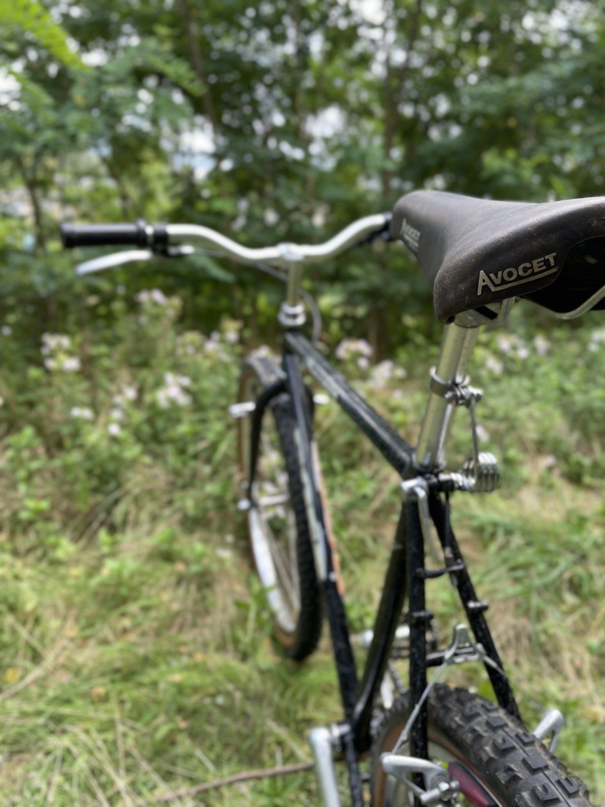 BBD87C6B-DF10-447B-94C3-55328A9A021A.jpeg BBD87C6B-DF10-447B-94C3-55328A9A021A.jpeg