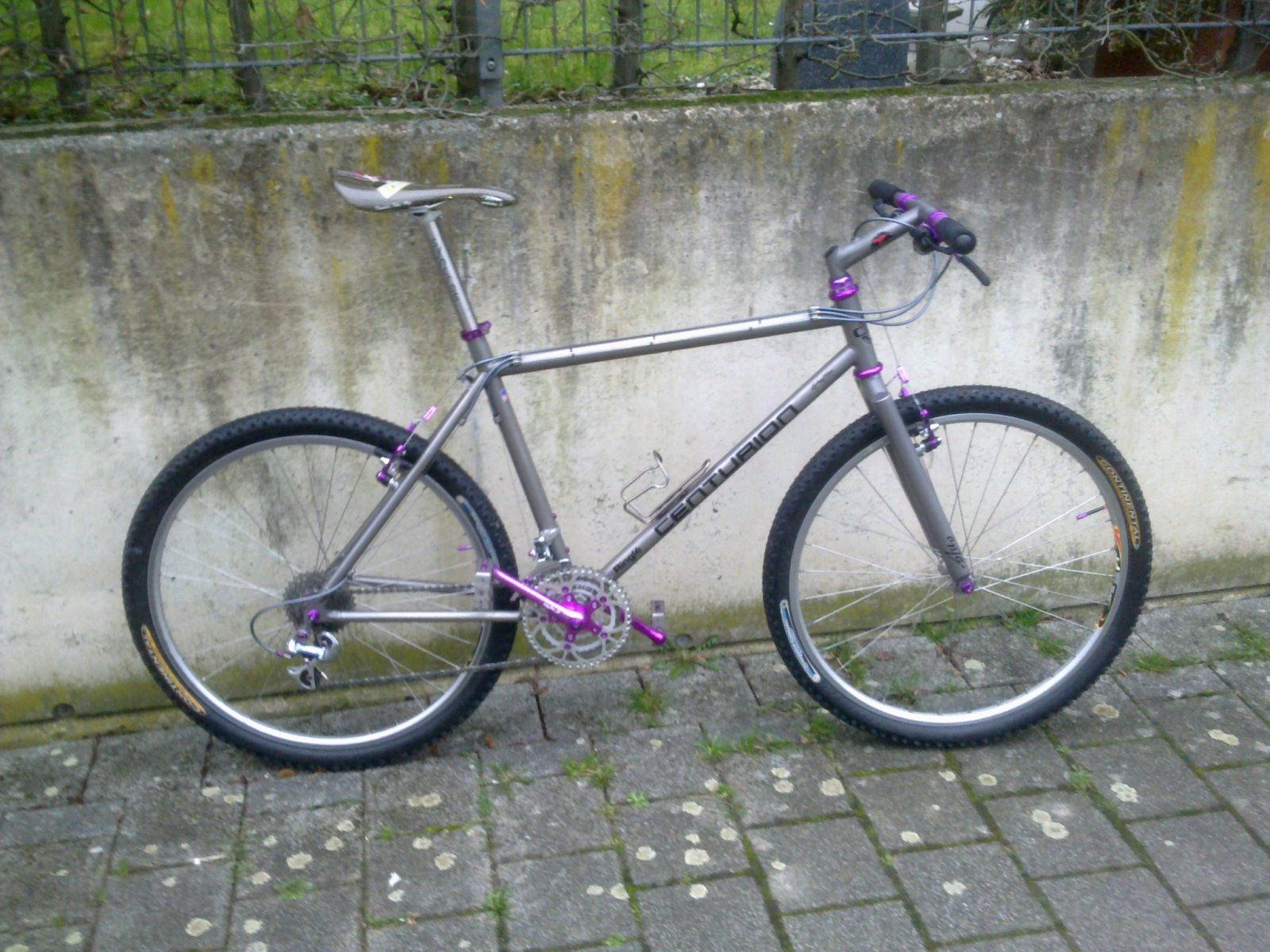 Bild11463.jpg