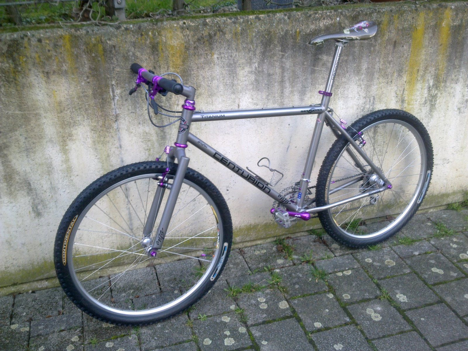 Bild11504.jpg
