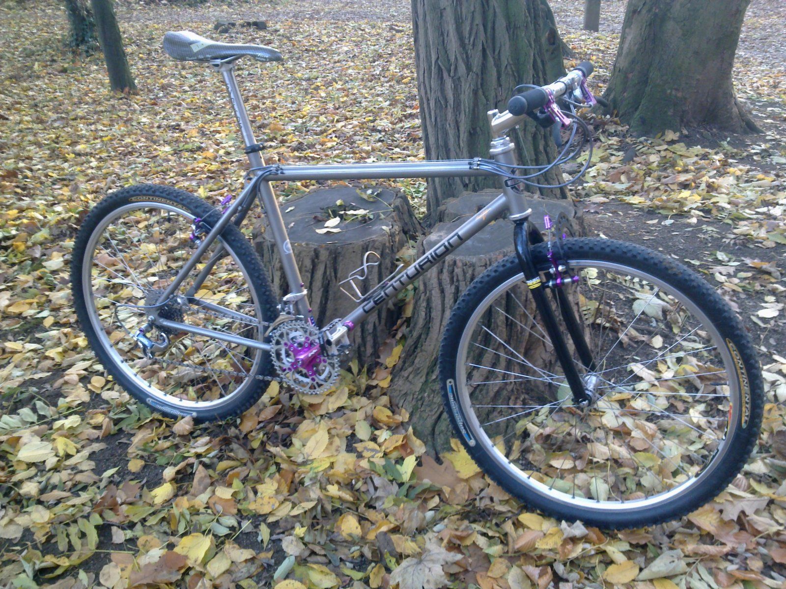 Bild3062.jpg