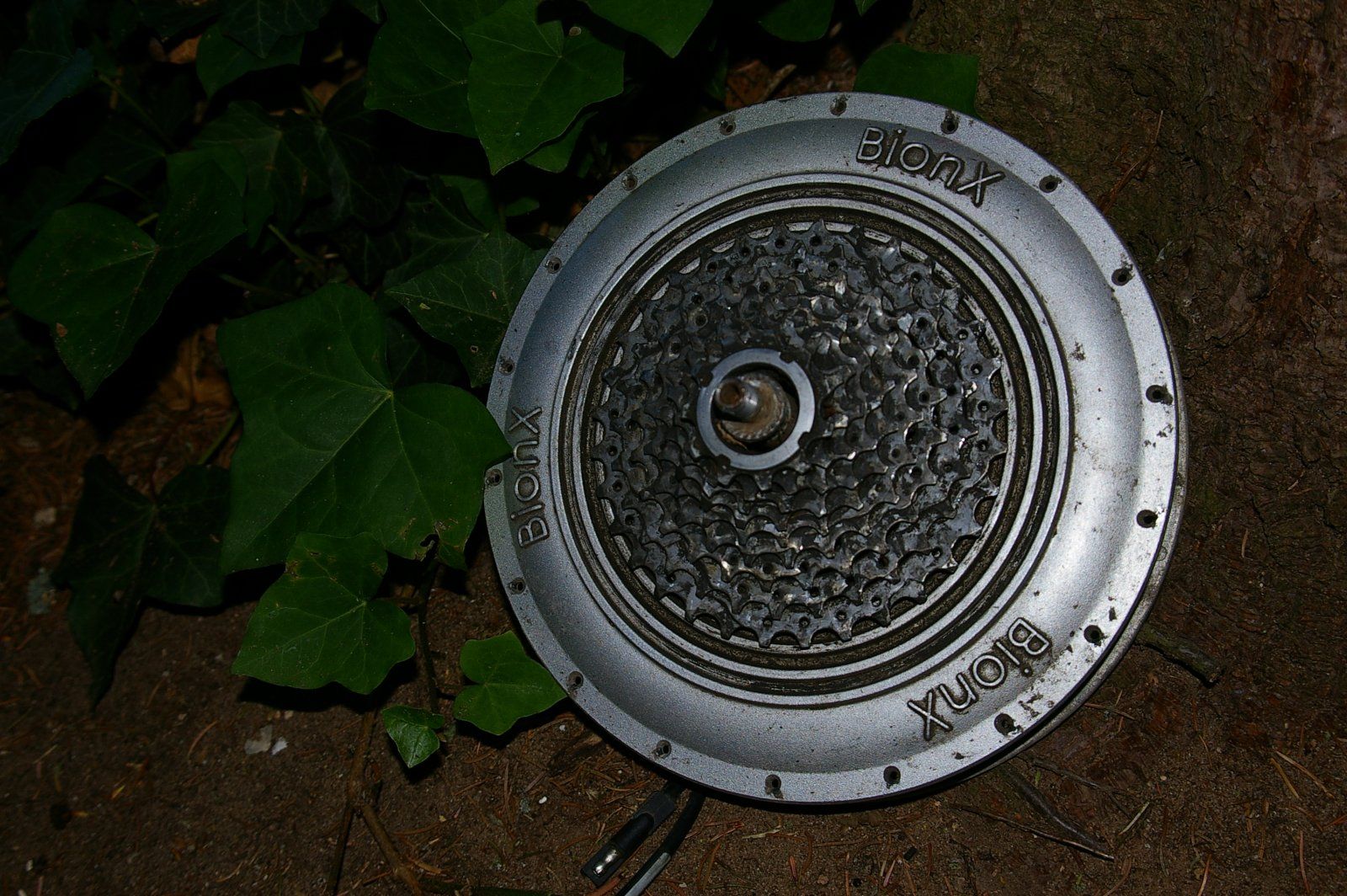 BionX_20230708_01.jpg