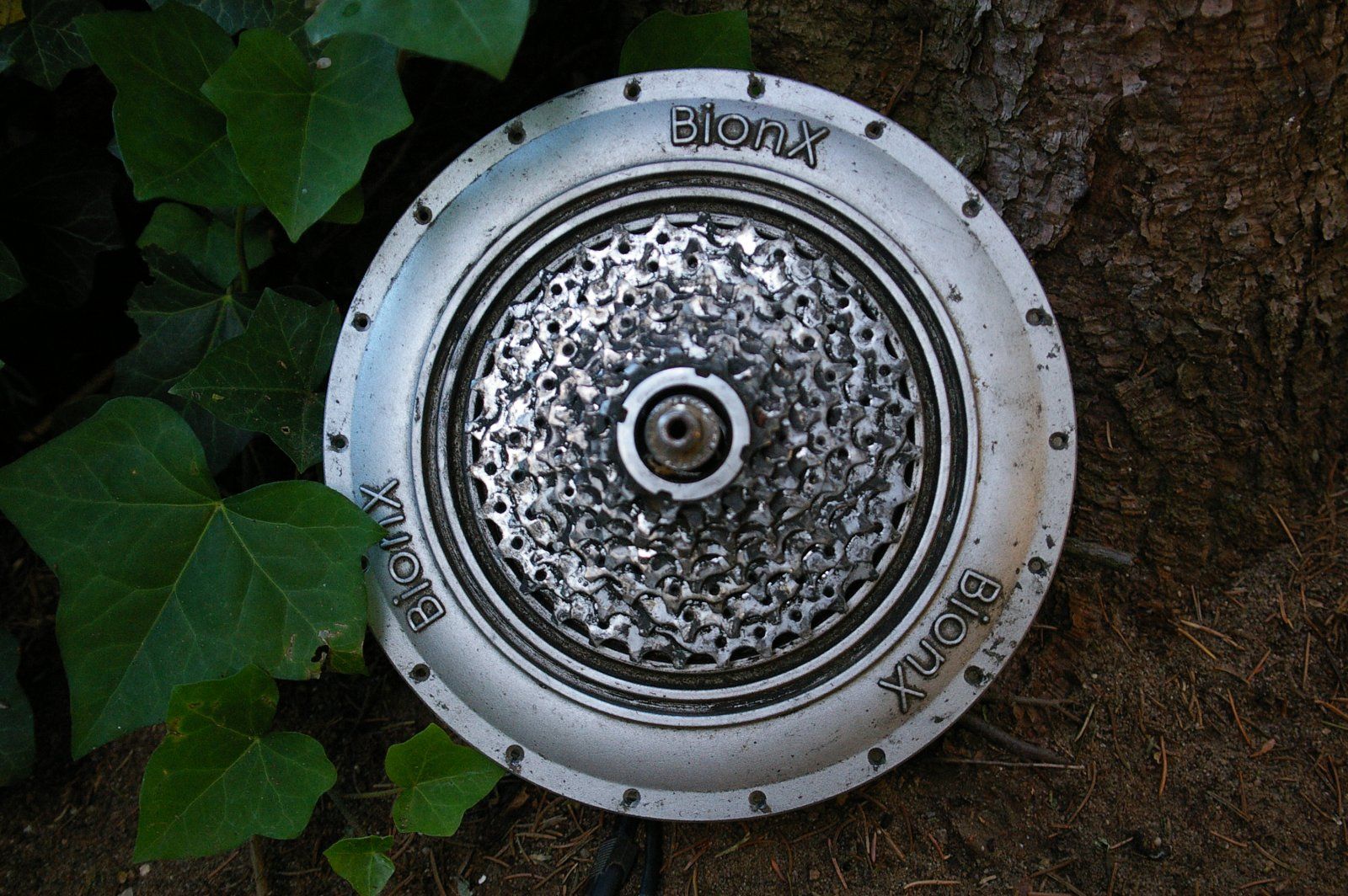 BionX_20230708_02.jpg