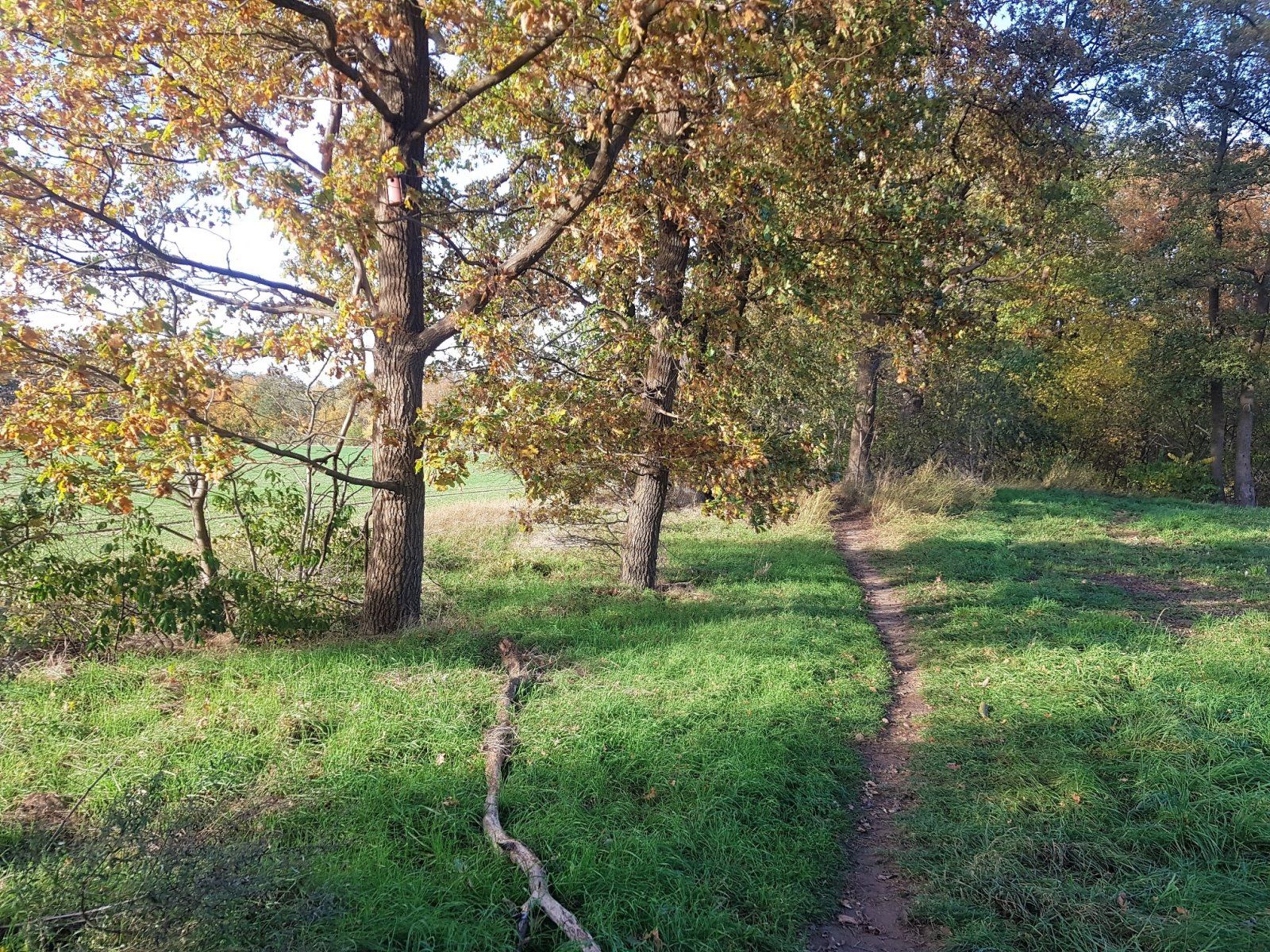 bischen Traileinlage in der Gravelrunde nach Sophiental (1).jpg