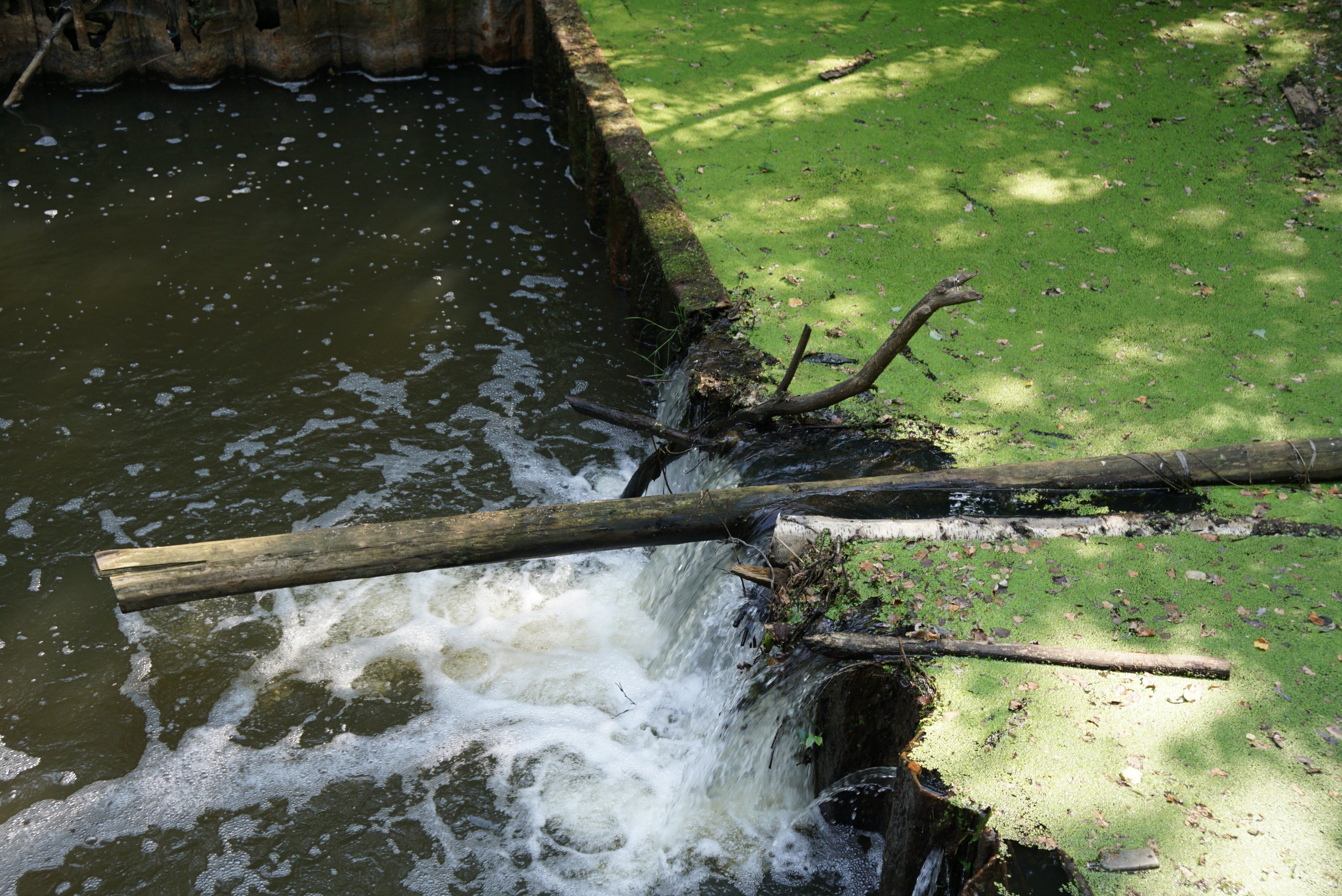 bischen Wasser noch da mit Harzkarakter.JPG