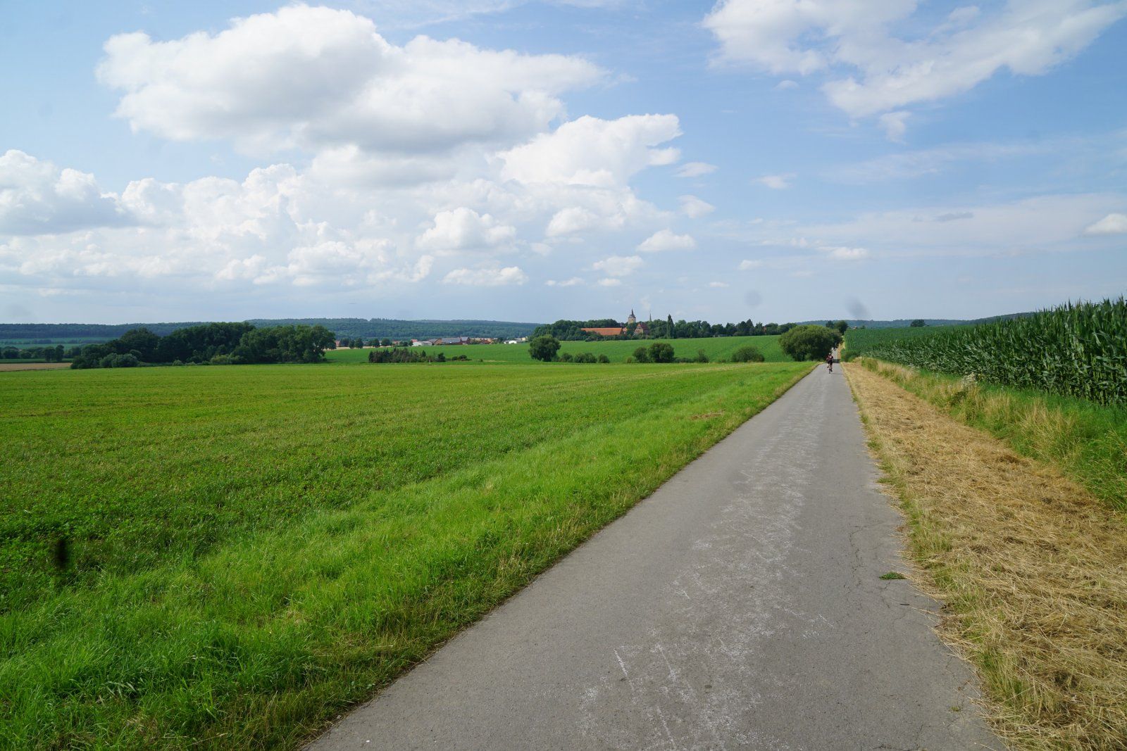 Blick nach Lutter am Barenberge.JPG