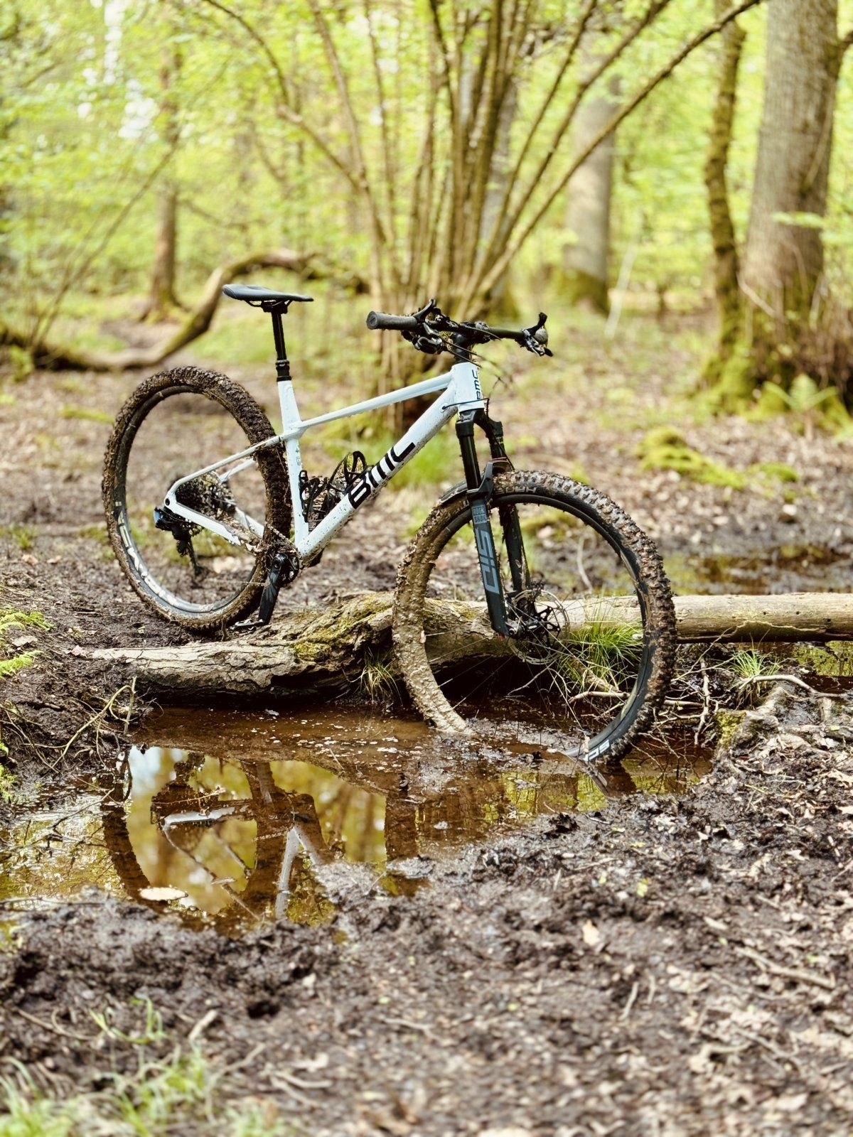 BMC TWOSTROKE AL.jpg