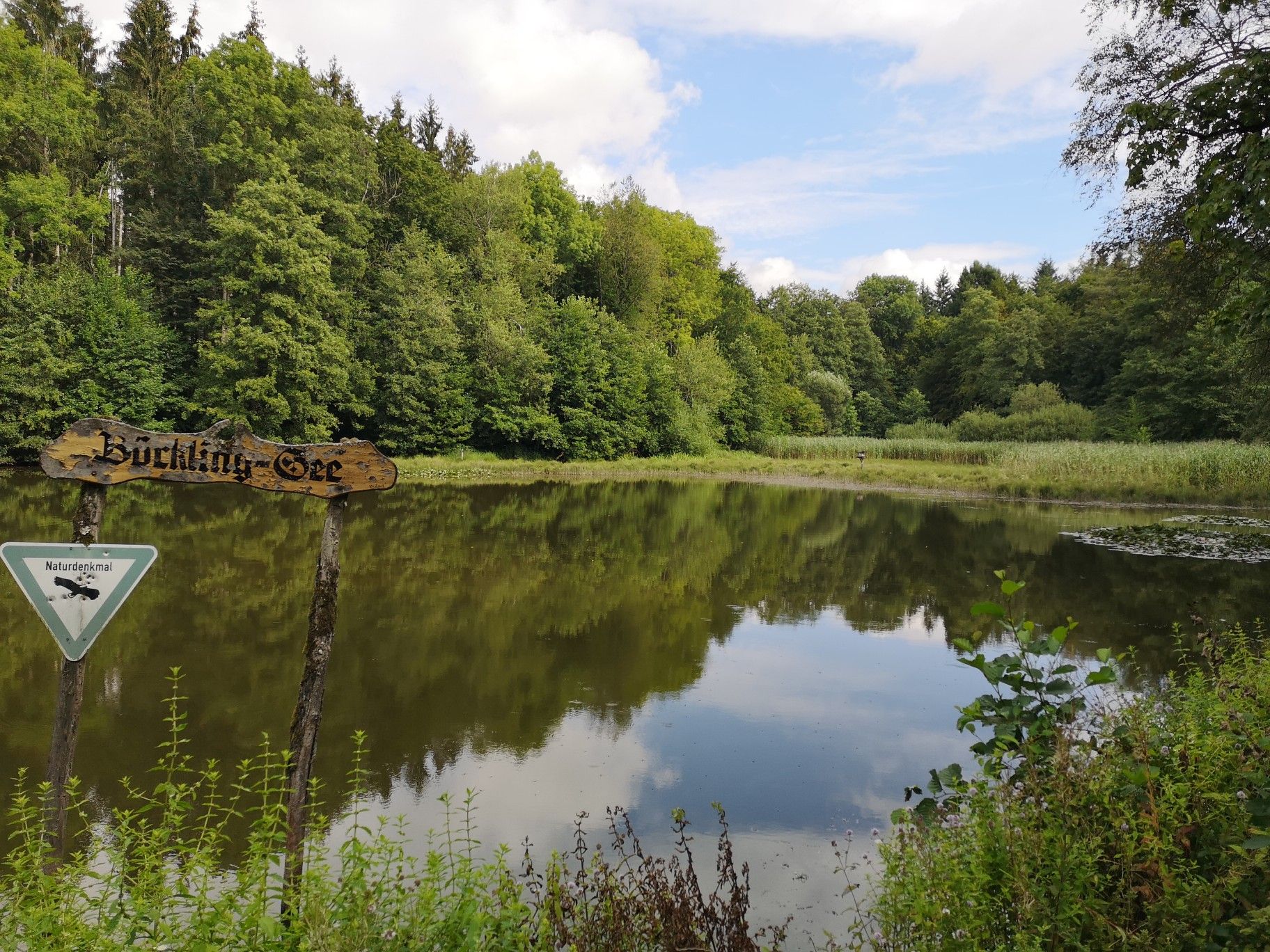 Böcklinger_See.jpg