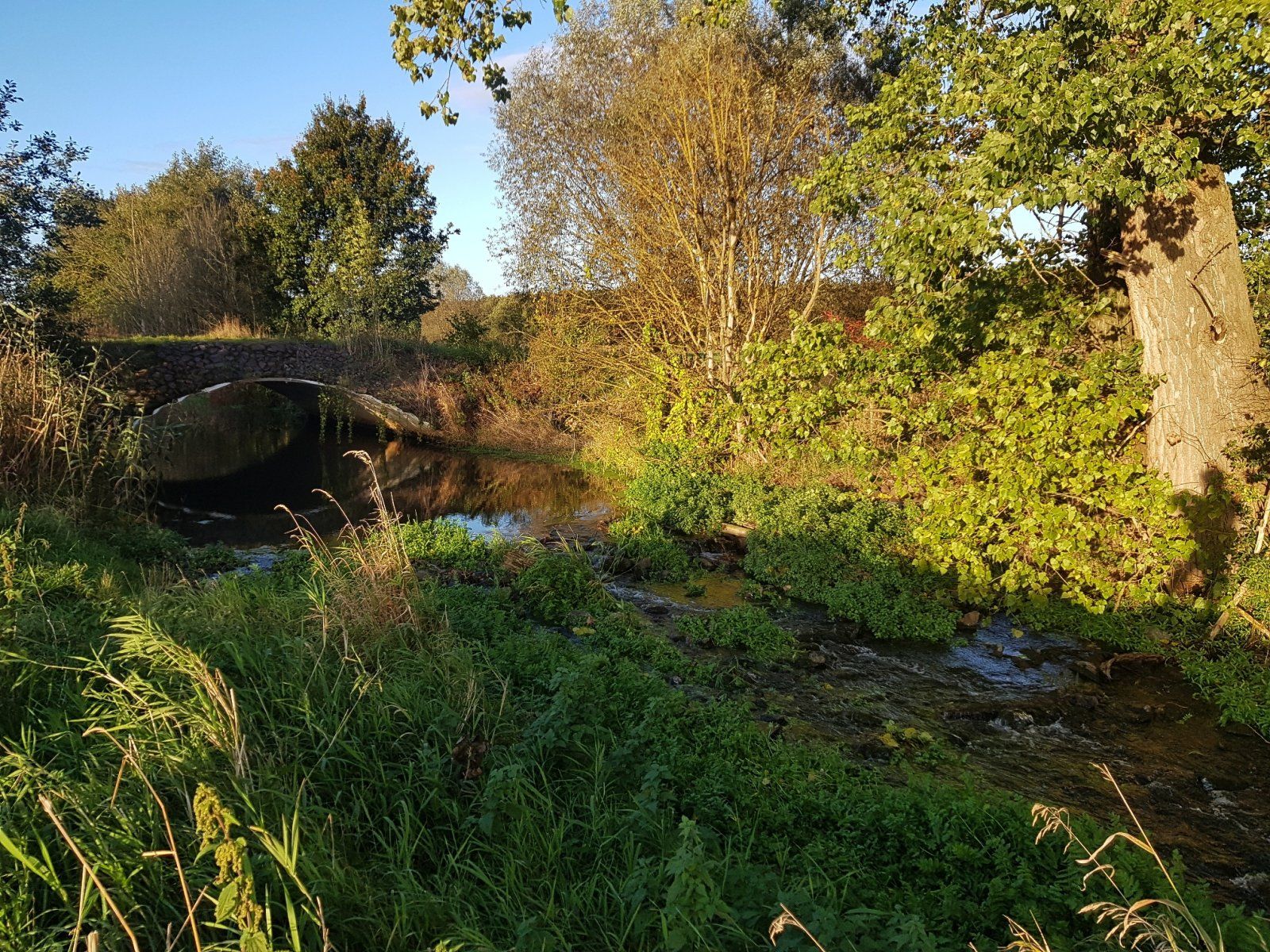 Bogenbrücke mit Stromschnellen an der Schunter.jpg