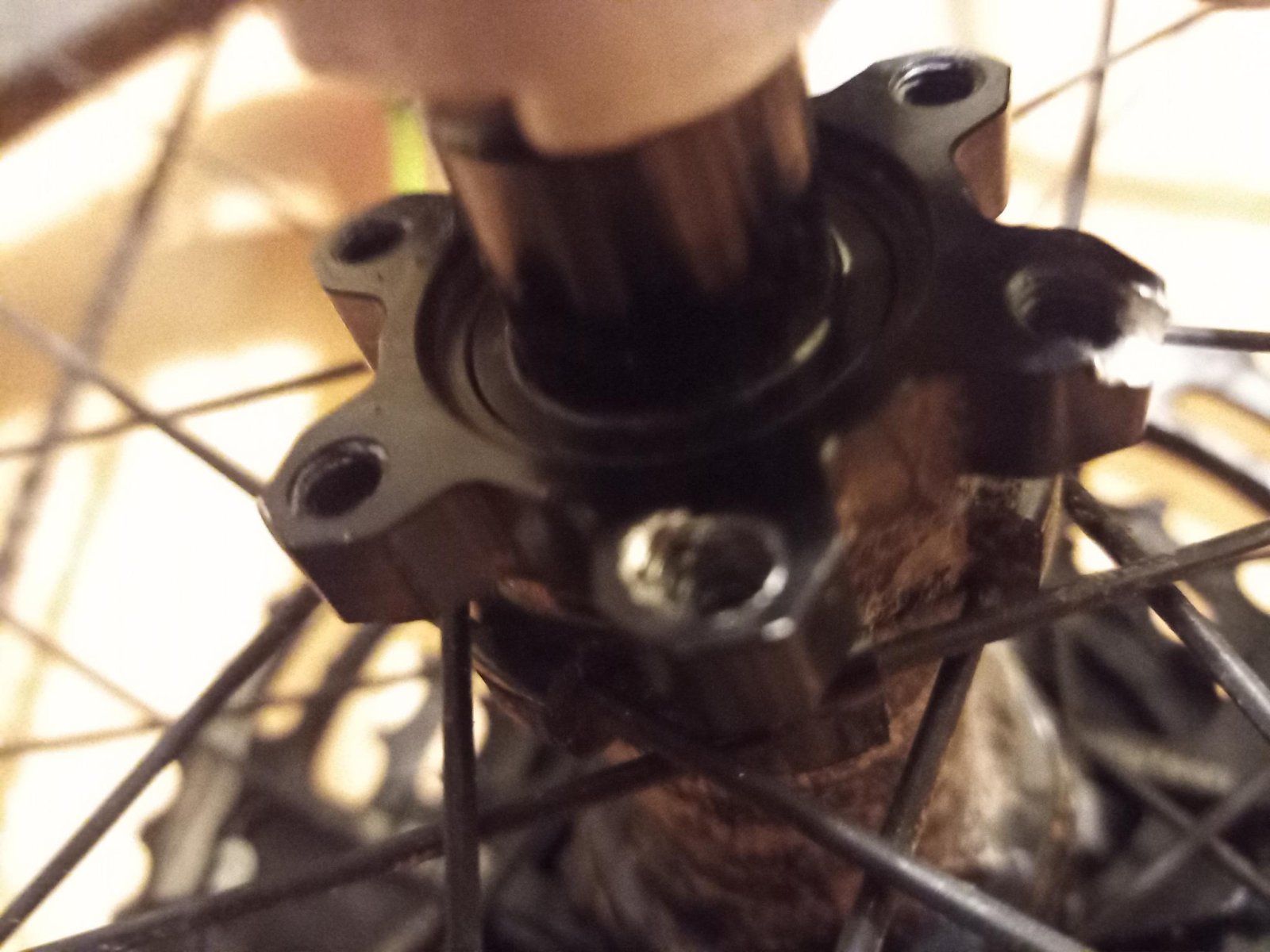 bremse2.jpeg bremse2.jpeg