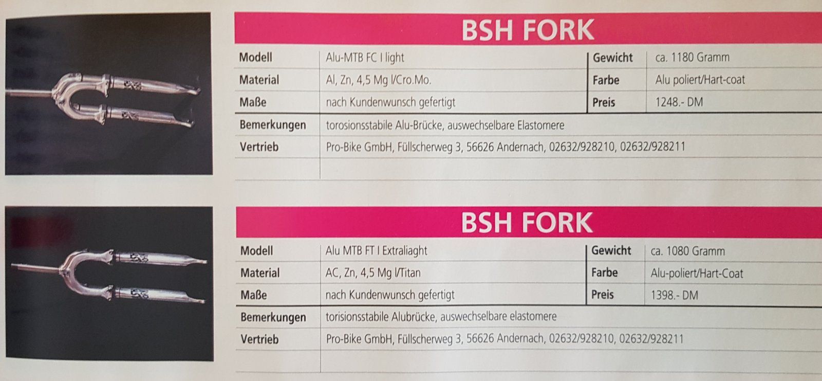 BSH Fork aus Bike.jpg