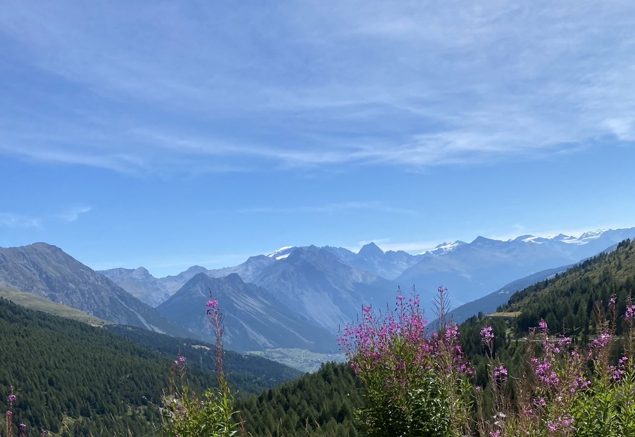 C0E39346-438F-49A4-B156-BD822F9BCECB.jpeg
