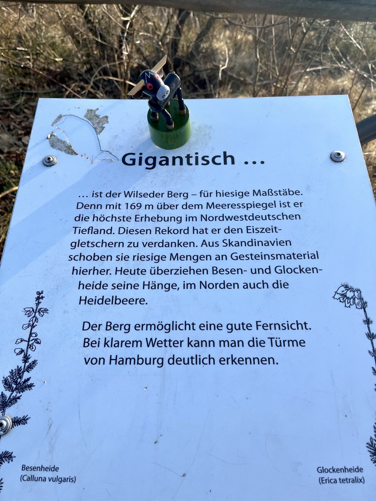 C1B74F54-85A0-4A2F-81F0-3056A83576E6.jpeg