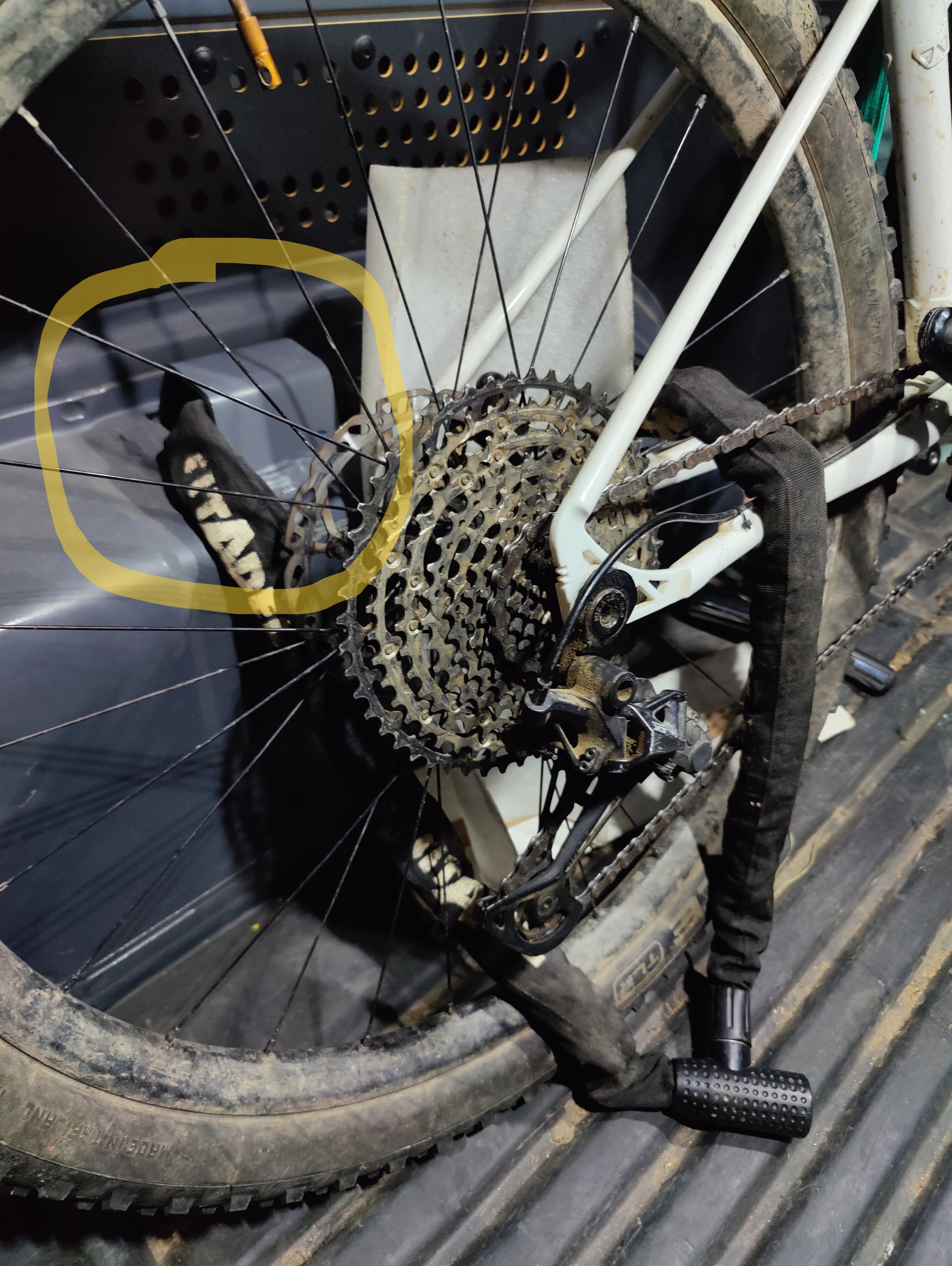 Caddy 4-Project 12 Vertigo-650B (3)-BWA.jpg