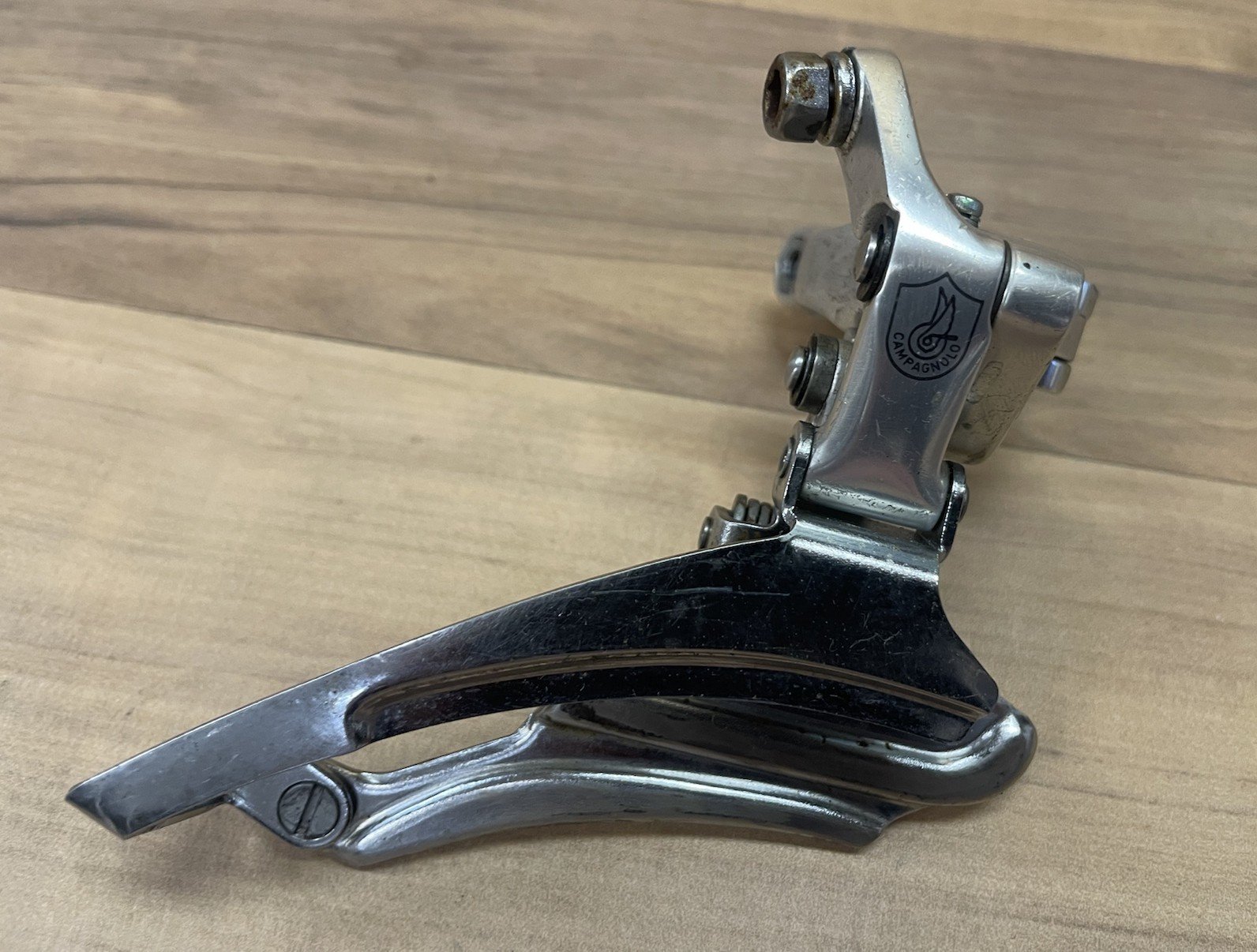 campa-record-or (10).JPEG