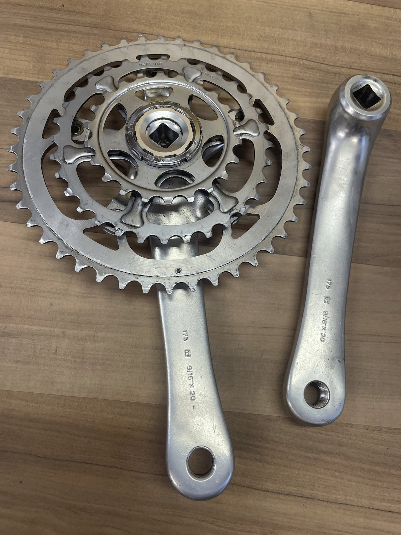 campa-record-or (3).JPEG