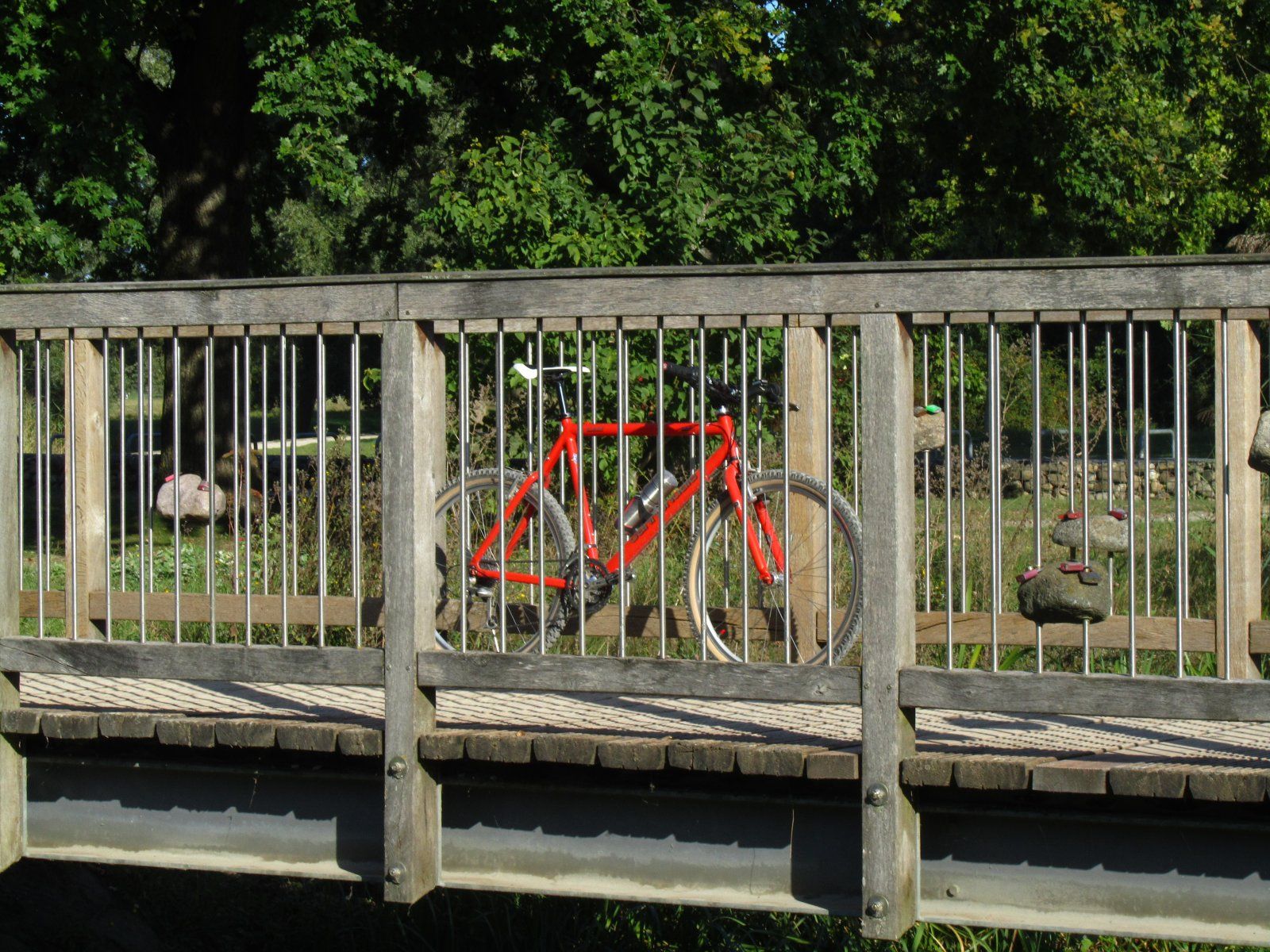 cannondale 015.JPG