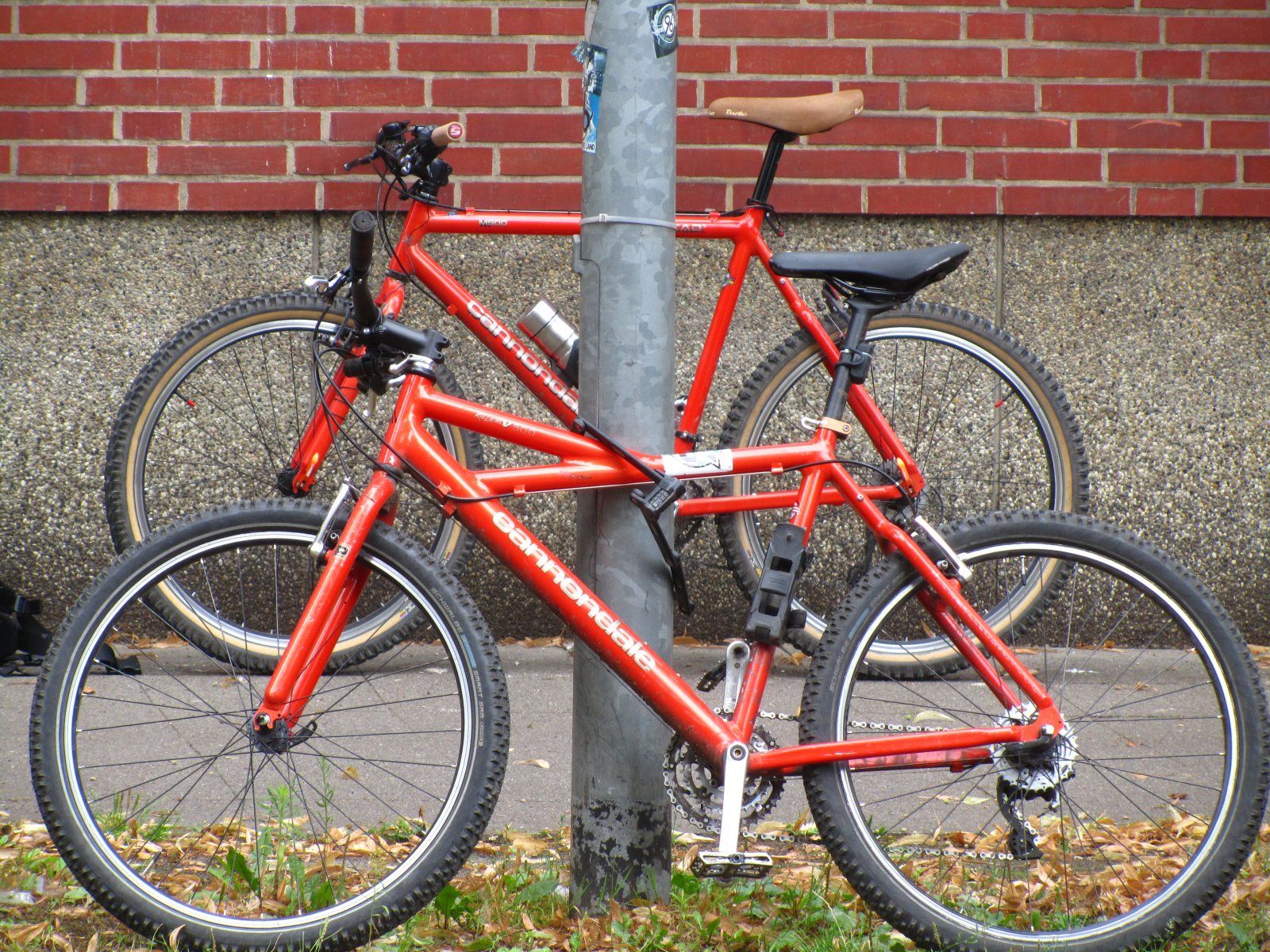 cannondale 069.JPG