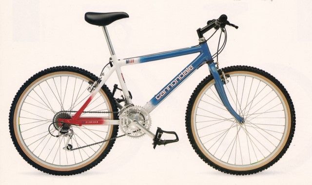 Cannondale m600 patriot pic.jpeg