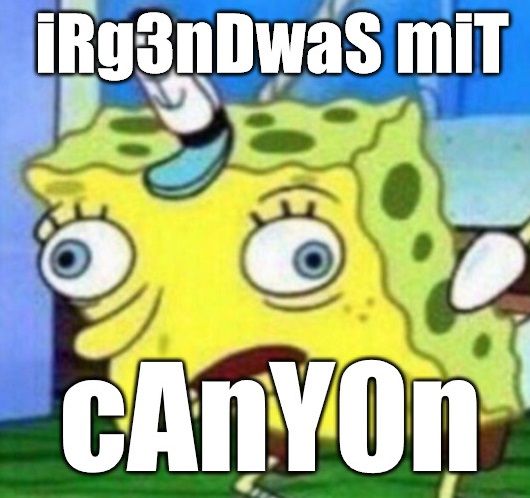 canyon.jpg