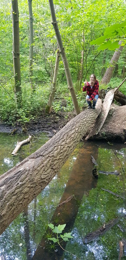 Challenge (FILEminimizer).jpg